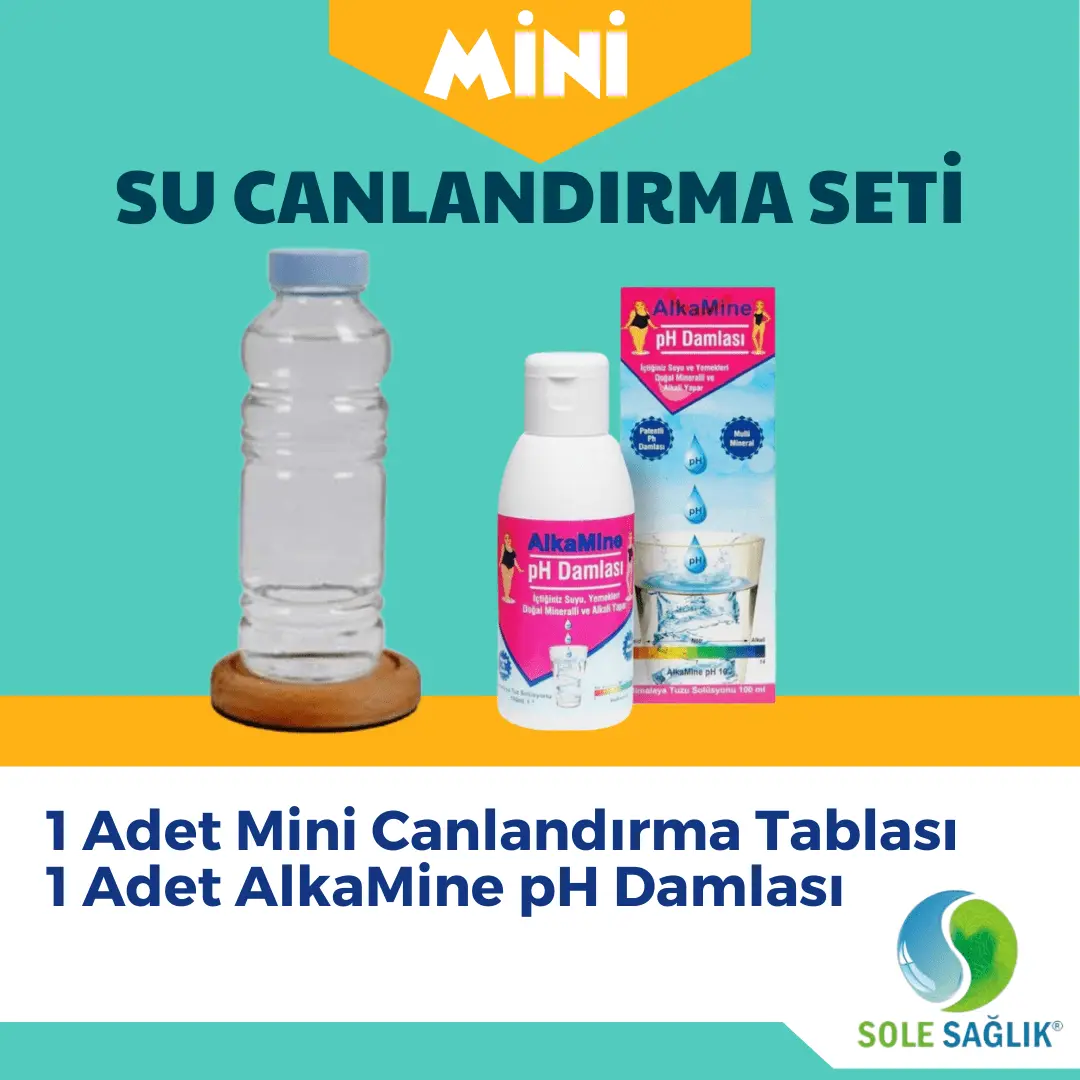 alkalisuminitanışmapaketi alkalisuminitanışmapaketi