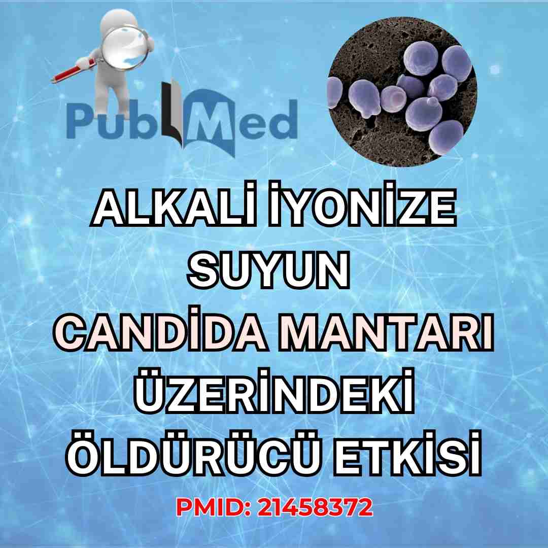 kazdagishopalkalishop2 kazdagishopalkalisu3