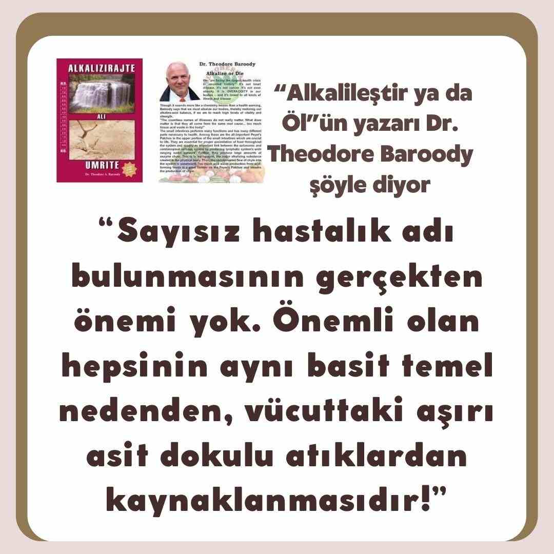 kazdagishopalkalishopalkali3 kazdagishopalkalisu4