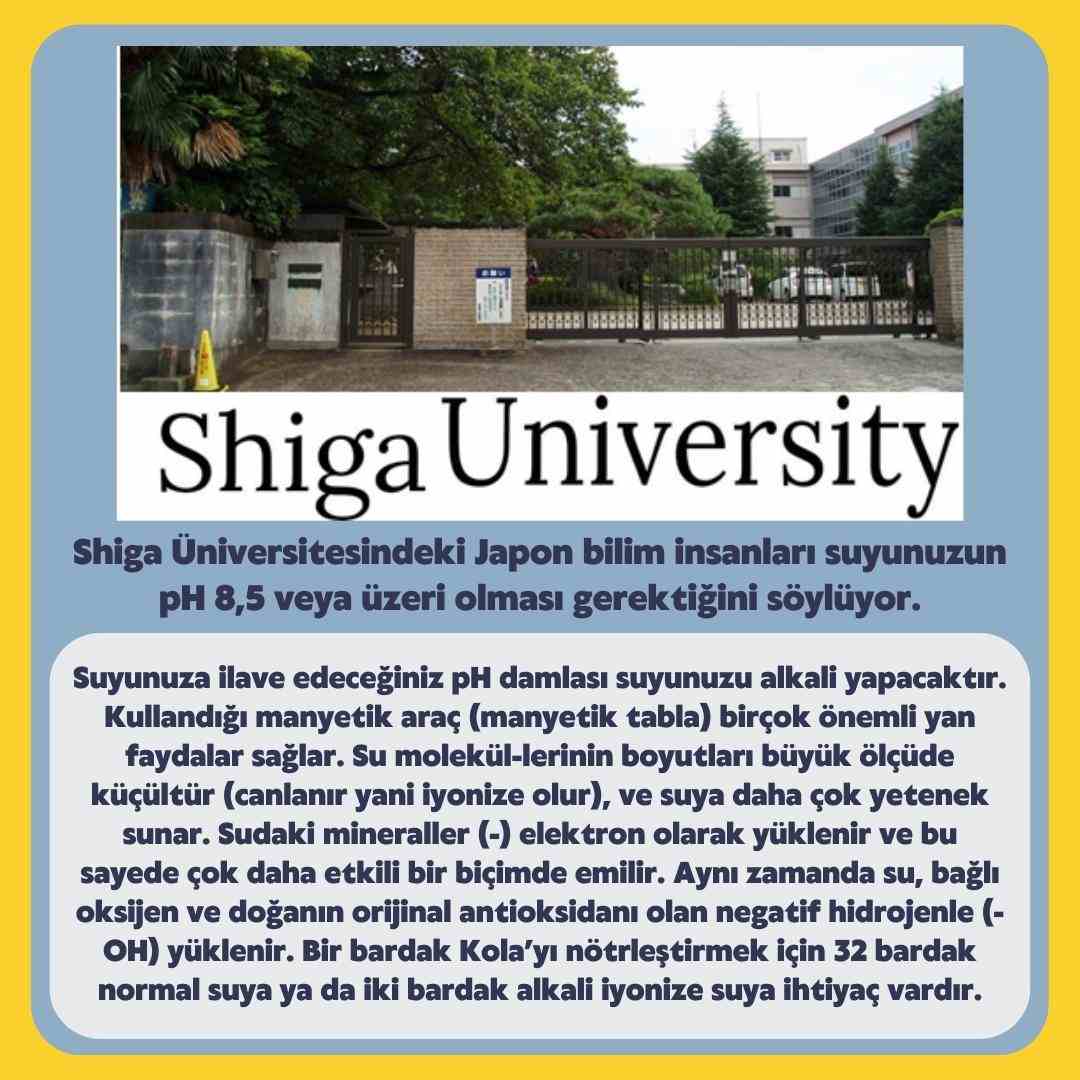 kazdagishopalkalishopalkalisu6 kazdagishopalkalisu9