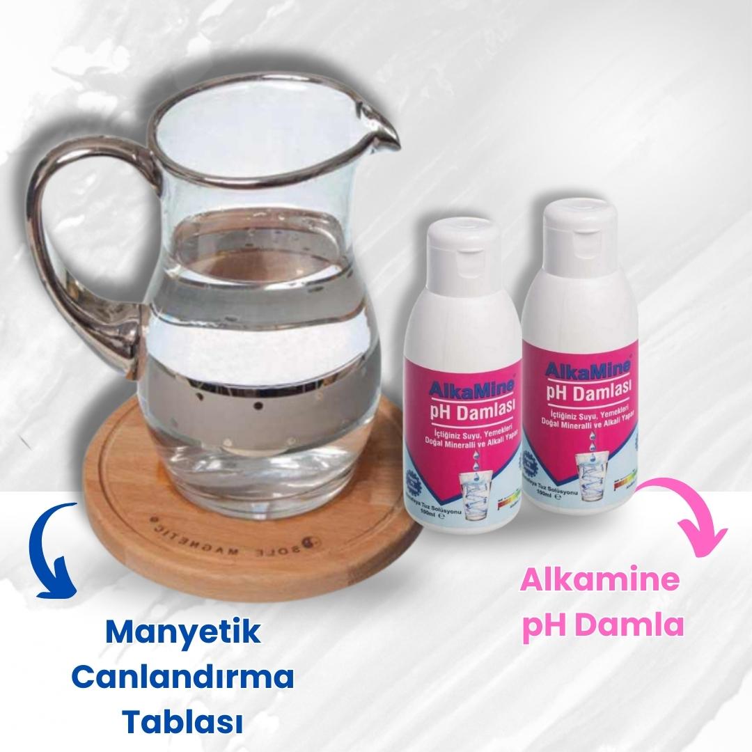 kazdagishopalkalisuseti kazdagishopalkalisuseti